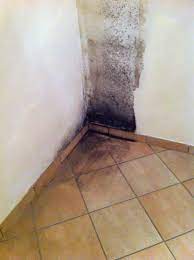 Uno dei luoghi prediletti dalla muffa per svilupparsi lontano dagli occhi e in tutta tranquillità è dietro gli armadi di casa o nelle cabine armadio. Muffe Da Incubo 2 I Pericoli Della Muffa Dietro L Armadio