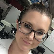 Support the University of New Haven