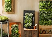 Vertical gardens are also one of the top plant and gardening trends right now—interest in vertical gardens was up 287 percent in 2018—and vertical garden ideas are actually doable at home. 8 Simple Ways To Create An Indoor Vertical Garden In Your Home
