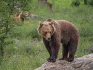 Photo Haute-Savoie : toute l'info locale