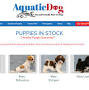 usa colorado denver aquatic-dog from www.aquaticdog.com