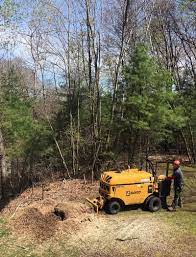 We grind the stump about 6 to 8 inches below ground level. Stump Grinding Faqs What You Need To Know About Stump Removal American Climbers