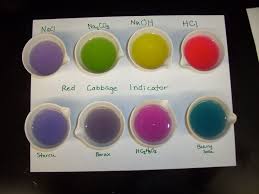 Red Cabbage Indicator Teaching Chemistry Teaching High School Chemistry Education