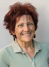 Zur Tätigkeit des Sorbischen Instituts 2015·2016