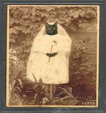 Cat Wedding Gown Cat Wedding Dog Cat Photos Cat Clothes