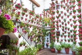 Patios con flores al oleo. Flores Y Color En La Fiesta De Los Patios De Cordoba 2018