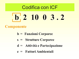 Istruzioni Per Compilare Una Checklist Icf Cy Sportellautismo