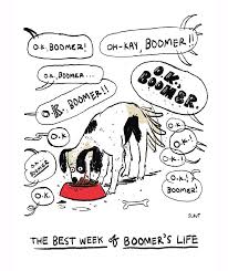 The Best Week Of Boomer S Life Drawing By Sara Lautman