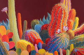 Check spelling or type a new query. Arizona Summer Colorful Cactus At Turquoise Tortoise Gallery Kudos Az