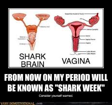 From Now On My Period Will Be Known As Shark Week Very Demotivational Demotivational Posters Very Demotivational Funny Pictures Funny Posters Funny Meme
