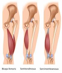 Wear longer tops or jackets. Help For Your Shortie Hamstrings Breaking Muscle