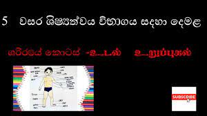 And world wide more than 130 million peoples spoken human body parts names in tamil through sinhala *. Parts Of Human Body In Tamil For Sinhala Students Tamil Lesson For Grade 5 Scholarship Examination Youtube