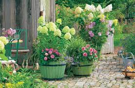 Tagesaktuelle tipps und tricks für den intelligenten faulen gärtner. 10 Tipps Fur Den Schnellen Gartenerfolg Mein Schoner Garten