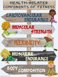 Pe Poster Pointing Out Pe Health Related Components Of Fitness Physical Education Lessons Health And Physical Education Workout Posters