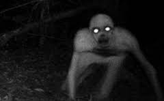 Gambar hantu lucu bergerak paling lucu hd. Detail Gambar Animasi Hantu Bergerak Mengejutkan Kumpulin Batik