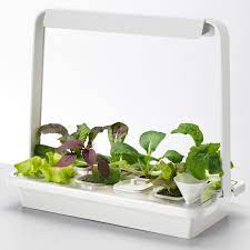 Purchase the ikea muskot 7 1/2 inch plant pot. New From Ikea A Hydroponic Countertop Garden Kit Gardenista