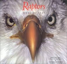 The fact is, very few modern birds engage in cooperative hunting, and since birds are tens of millions of years farther. Raptors Birds Of Prey By John Hendrickson