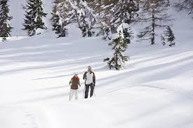 Vier sterne inmitten grüner almen. Sonnenalpe Nassfeld Berghof Haus Karnten Sonnenalpe Nassfeld Osterreichs Wanderdorfer