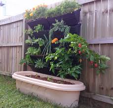 On the whole, this is an inexpensive way to grow greens right in your house. How To Set Up Hydroponics At Home