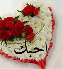 pin by chamsdine chams on حب love gif morning quotes love quotes