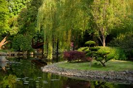 How to make a japanese garden in your backyard. How To Build A Japanese Garden Gardenerdy