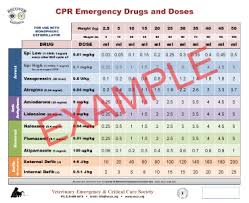 cpr emergency drugs 22x27 poster