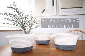 買ってよかった オススメダイソー商品5選 ダイソー おからパウダー お茶碗