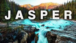 Image result for Jasper