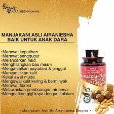Tapi selain menjadi tanaman hias tanaman ini dimanfaatkan daunnya oleh para ahli heral untuk membuat obat alternatif. Khasiat Manjakani Untuk Anak Dara Malaykutu