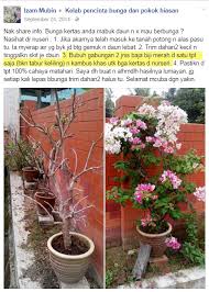 Memang benar, ada banyak bahan bukan baja yang boleh digunakan untuk menyuburkan tanaman. 10 Baja Teruji Dan Terbukti Mujarab Buat Pokok Kertas Gila Bunga Impiana