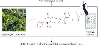Image result for Gymnosporia arenicola
