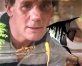 A Fish Called Wanda (1988)