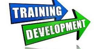 Come And Join Us On Our Google Hangout Where We Will Be Giving Out Our Best Recruiting Ti Network Marketing Training Training And Development Network Marketing