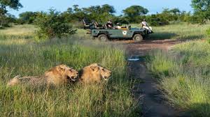 Unfortunately, with the recent legal issues and press coverage surrounding the natural bridge zoo we have found it necessary to post this clarification. Kambaku Safari Lodge Bewertungen Fotos Preisvergleich Sudafrika Timbavati Private Nature Reserve Kruger Nationalpark Tripadvisor