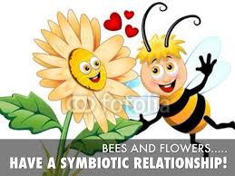The first pollinators accidentally spread pollen while feeding on flowers. Bees By Tamarberk