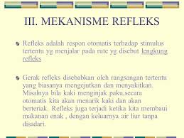 Lengkung refleks yang paling sederhana disebut monosinaptik, yang hanya mempunyai sinaps tunggal antara neuron aferen dan neuron eferen. Peristiwa Reflek Gerak Postur Tubuh Ppt Download