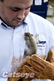 Choose from contactless same day delivery, drive up and more. Catseye Pest Control 12759 Bonita Beach Rd Se Bonita Springs Fl Pest Control Mapquest