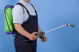 4550 atwater ct, ste 210. Pest Control Challenges For Buford Area Homeowners What Every Resident Needs To Know Call Contractor S Best