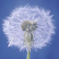 Assistenzarzt innere medizin (m/w/d) schwerpunkt kardiologie/geriatrie/gastroenterologie / münchen. Allgemein Und Innere Medizin Munchen Gemeinschaftspraxis Haseke