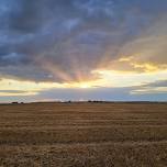 Harvest Classic — Colorado, Wyoming, and Nebraska Stock Horse