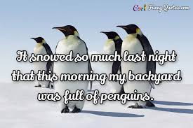 Quotesgram,how to optimize your urls for search quick tip,pin by kar3n.59 on jimmy & karen (with images) penguin love quotes, penguin love, penguins funny,quotes about penguin (65 quotes) and more. It Snowed So Much Last Night That This Morning My Backyard Was Full Of Penguins