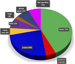 Image result for Eriosema lebrunii