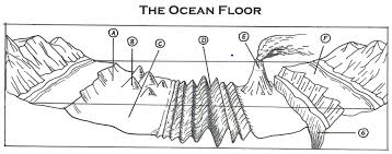 The Ocean Floor Worksheets In 2020 Worksheets Ocean Unit Printable Label Templates