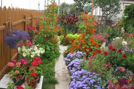 какие цветы посадить на даче чтобы цвели все лето Mnogoletniki Cvetushie Vse Leto Neprihotlivye Foto S Nazvaniyami Krasivye Mnogoletnie Cvety Katalog Nizko Sadovye Idei Mnogoletnie Rasteniya Idei Ozeleneniya