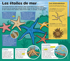 Epingle Par Solange Leiko Sur Illustrations Exercices Tables De Multiplication Mathematiques Pour Enfants Activites Dinosaures