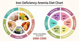 Diet Chart For Iron Deficiency Anemia Patient Iron