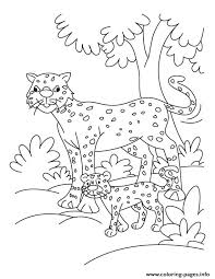 Algorithms of counting popular trends of our website offers to you see some popular coloring pages: Cheetah Coloring Sheets For Kids98df Coloring Pages Printable