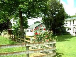 Haus kaufen in deutschland kompetent exklusiv& leidenschaftlich mit engel & völkers häuser in deutschland kaufen 800 standorte starke expertise. Paulownia Park Farm Homestead Waikato Neuseeland Pnz0005