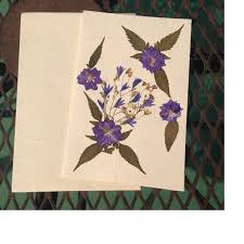 Fiori di seta corone di fiori peonie bianche fiori secchi fiori di carta decorazioni casa tende per porta lavori di bricolage progetti fai da te. Fiori Secchi Biglietti Di Auguri Custom Made Buy Fiori Secchi Biglietti Di Auguri Biglietti Di Auguri Con Fiori Secchi Biglietti Di Auguri Product On Alibaba Com