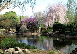 If Your In Springfield Mo Its A Must Visit Japanese Garden Things To Do In Missouri Missouri Travel